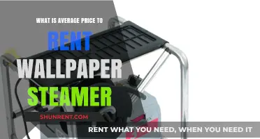 Average Wallpaper Steamer Rental Costs: What to Expect