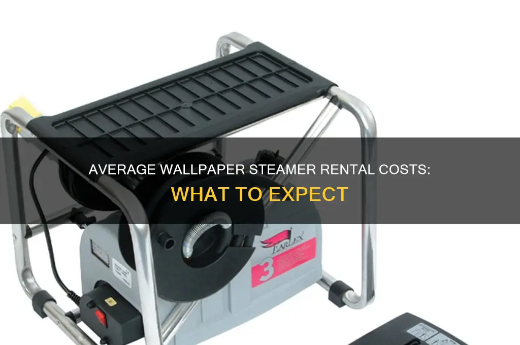 what is average price to rent wallpaper steamer