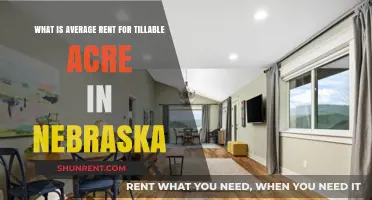 Nebraska Farmland Rent: Average Cost per Tillable Acre Explained
