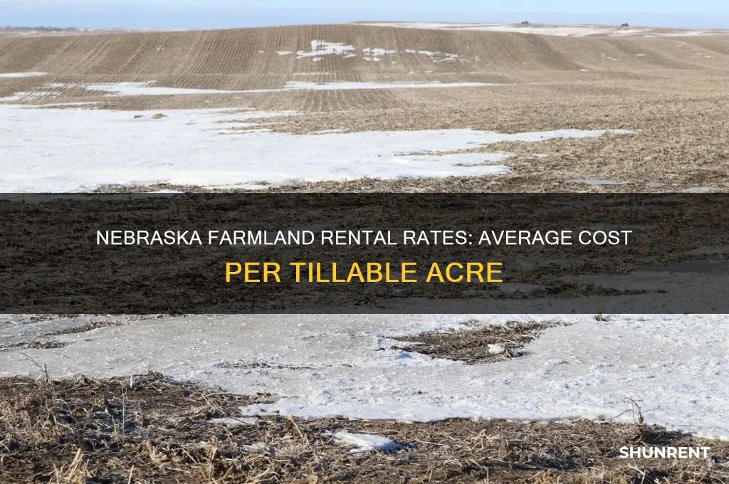 what is averagr rent for tillable acre in nebraska
