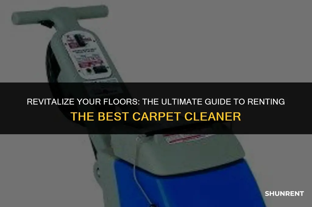 what is best carpet cleaner to rent