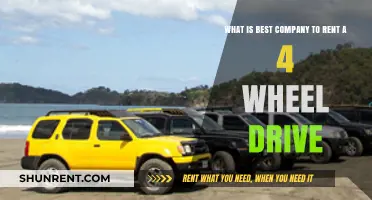 Top 4x4 Rental Companies: Your Ultimate Guide to Choosing the Best