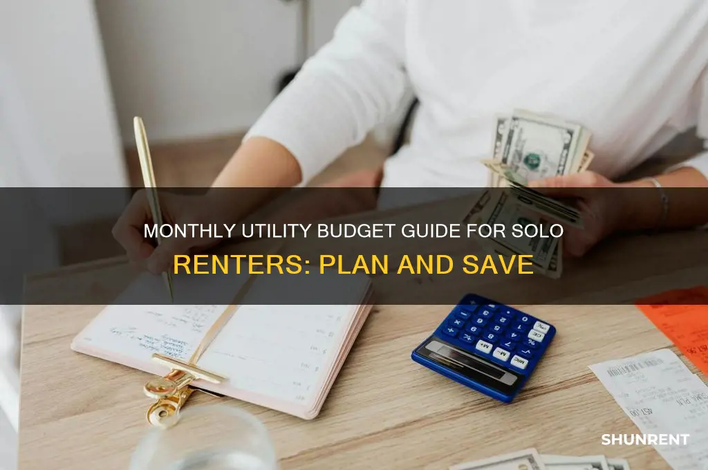 what is budget for monthly utilities single person renting