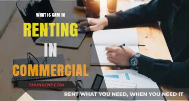 Understanding CAM in Commercial Renting: A Tenant's Guide