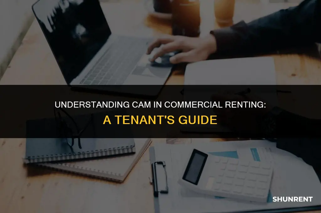 what is cam in renting in commercial