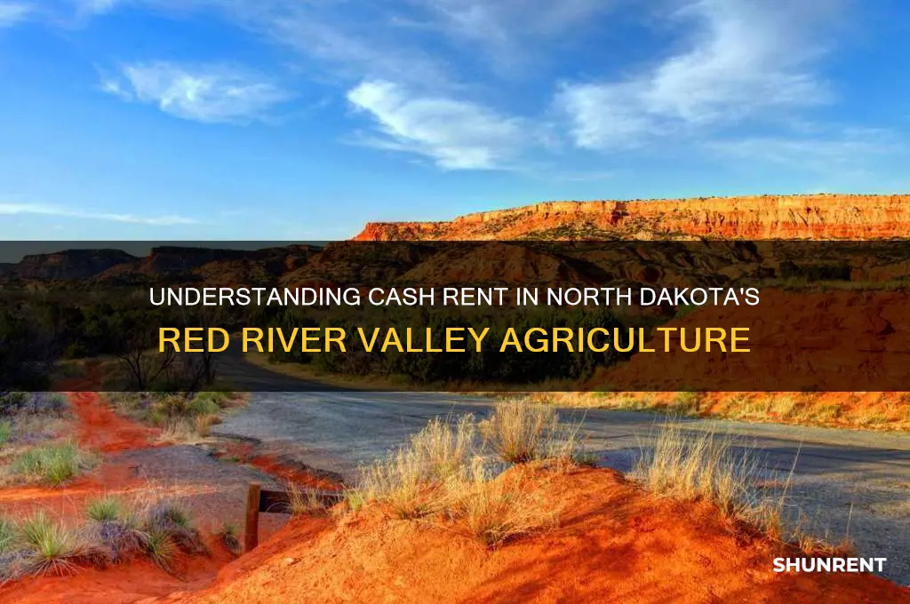 what is cash rent red river valley north dakota