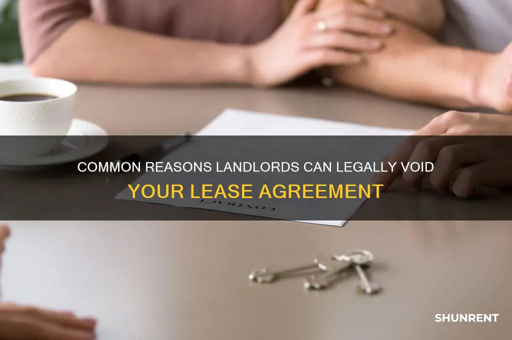 what is causes of voiding my lease agreement renting