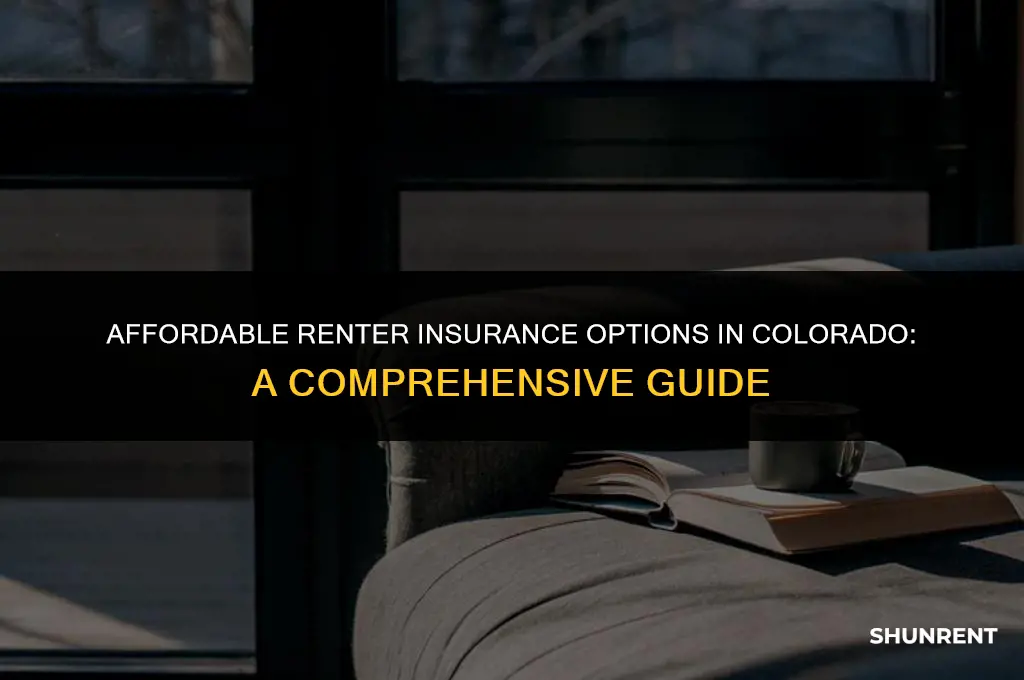 what is cheapest renter insurance in colorado