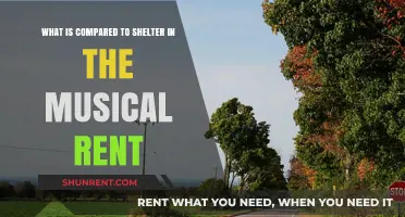 Rent's Shelter Metaphor: Exploring Themes of Home and Belonging