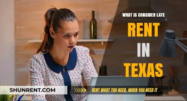 Understanding Late Rent in Texas: A Tenant's Guide