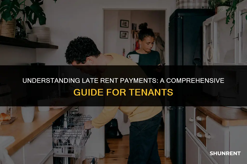 what is considered a late rent payment