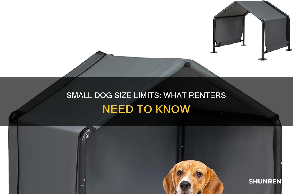 what is considered a small dog when renting