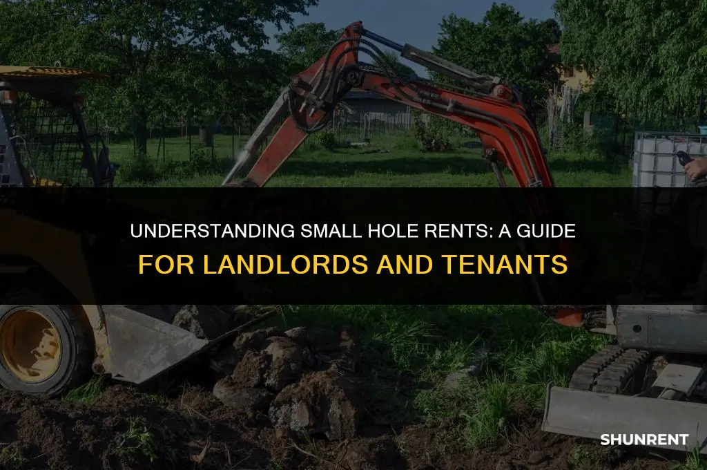 what is considered a small hole rent