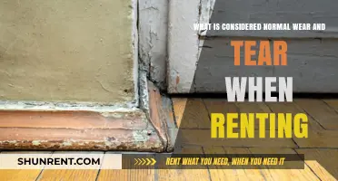 Understanding Rental Wear and Tear Basics