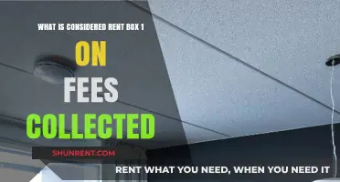 Understanding Rent Box 1: What Fees Are Included in This Category?