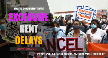 Understanding Tenant Excessive Rent Delays: A Landlord's Guide