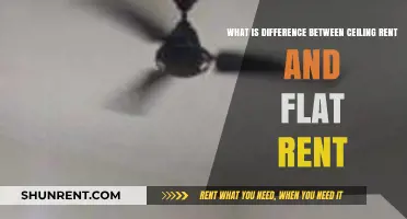 Ceiling vs. Flat Rent: Understanding Key Differences for Tenants