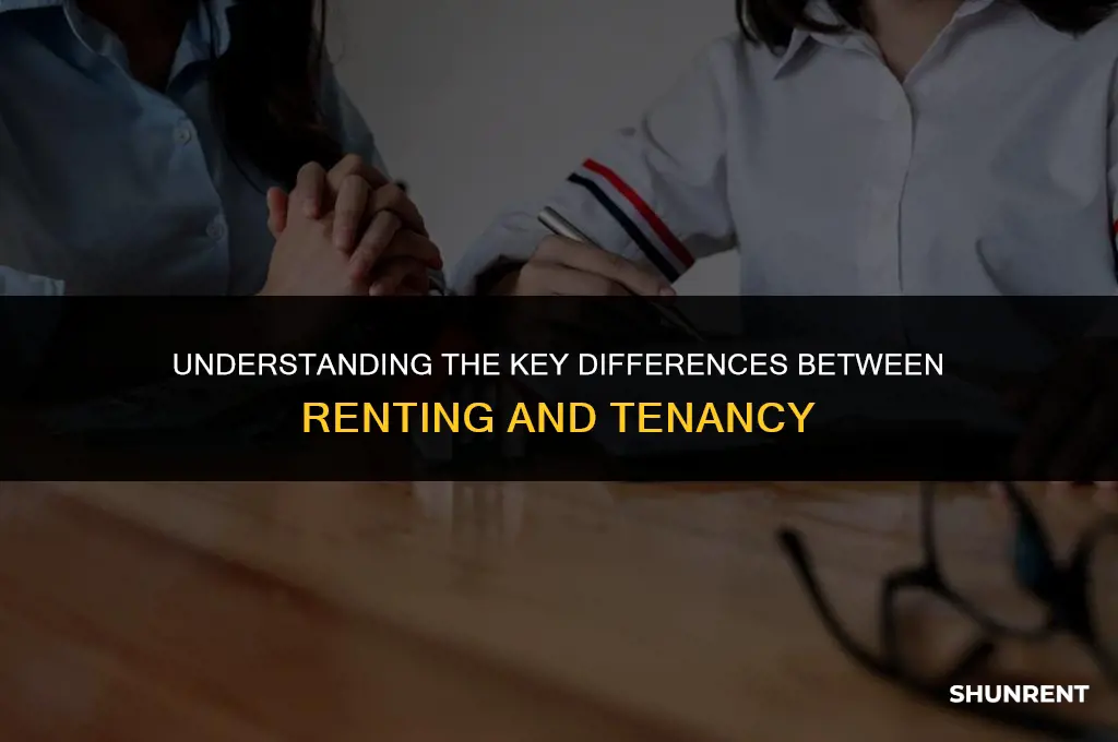 what is difference between renter and tenant
