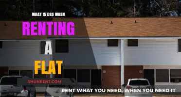 Understanding DSS: A Guide for Renters and Landlords