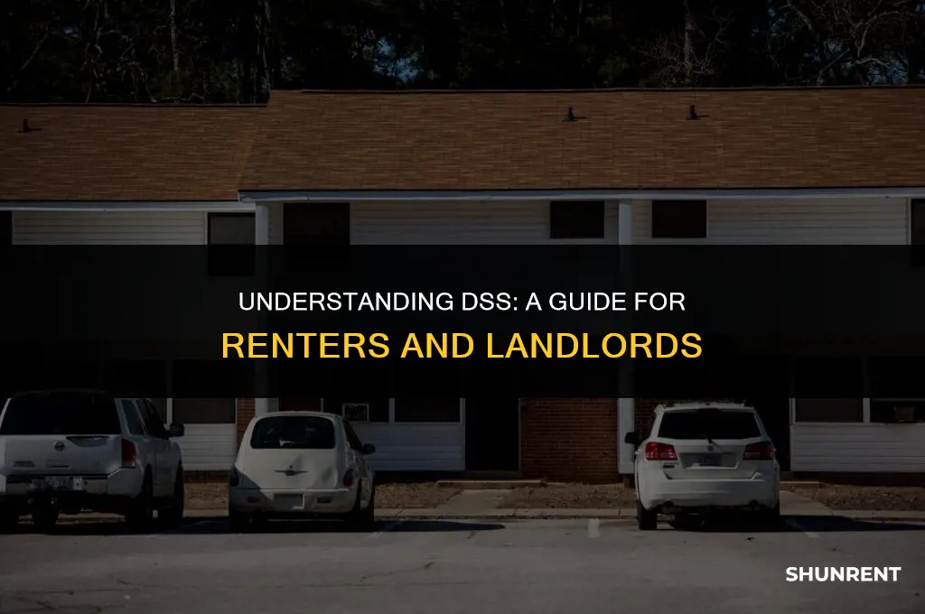 what is dss when renting a flat
