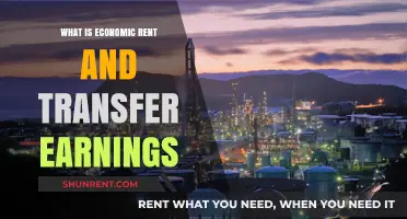 Unlocking the Mysteries of Economic Rent and Transfer Earnings