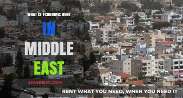 Unlocking the Mysteries of Economic Rent in the Middle East