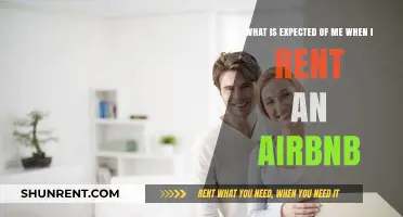 Airbnb Rental Responsibilities: Understanding Guest Expectations and Etiquette