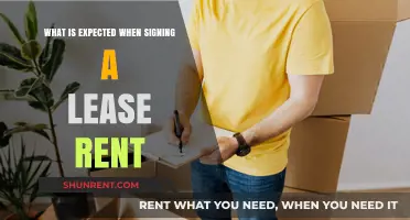 Understanding Lease Agreements: Key Expectations When Signing a Rent Contract