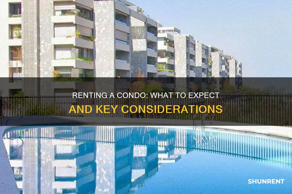 what is expected when you rent a condo