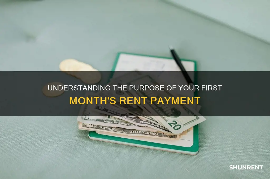 what is first month