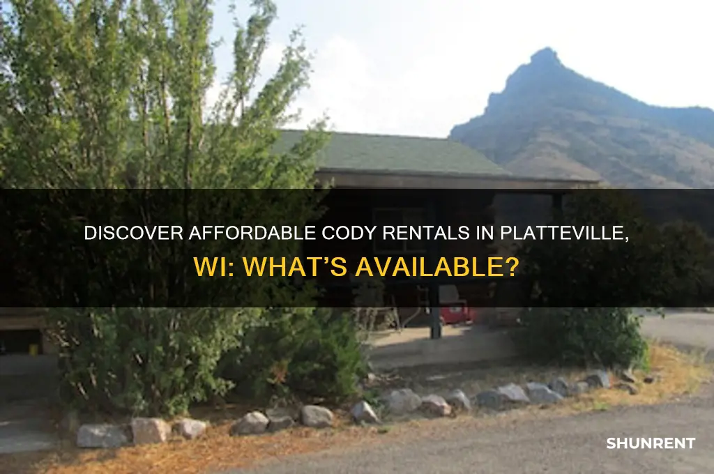 what is for rent in cody rentals in platteville wi
