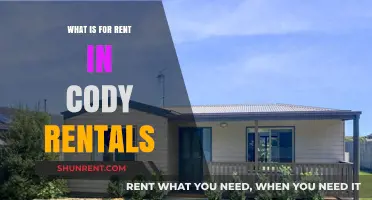 Exploring Cody Rentals: What's Available for Rent in This Vibrant Locale?