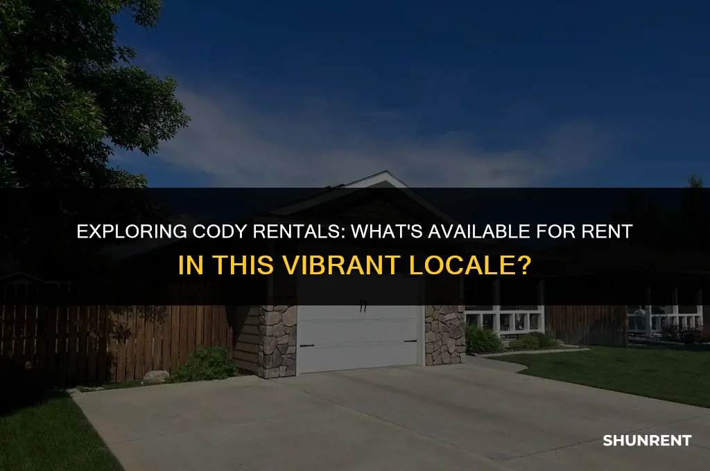 what is for rent in cody rentals