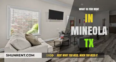 Discover Mineola, TX Rentals: Your Guide to Local Leasing Options