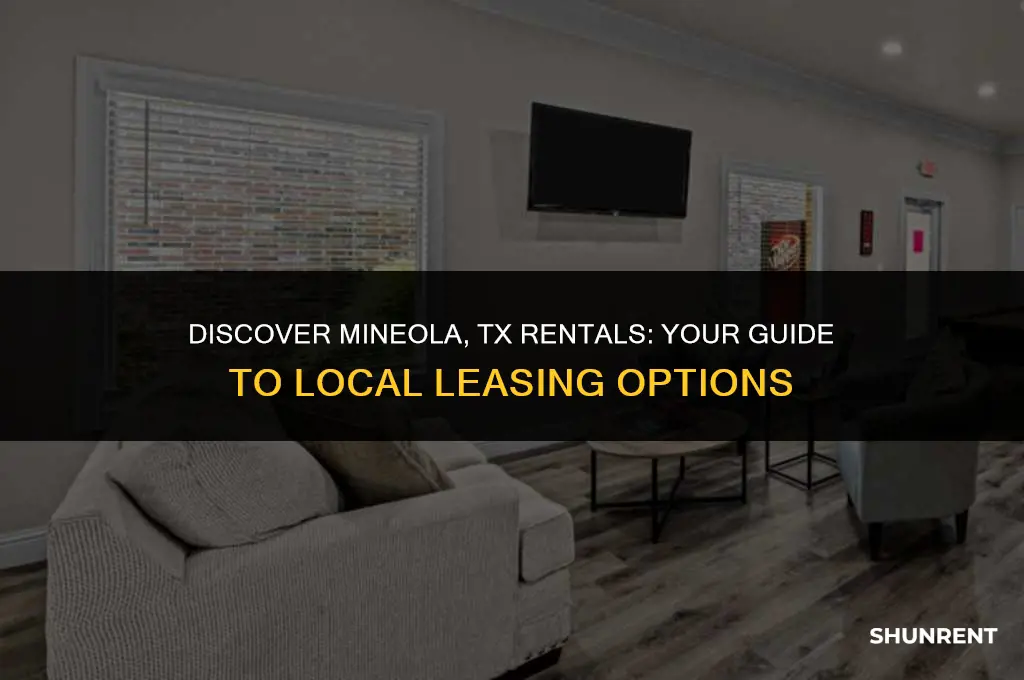 what is for rent in mineola tx