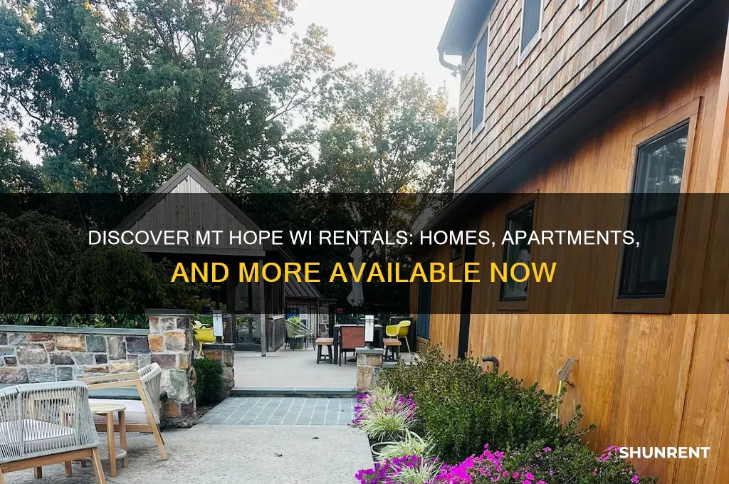 what is for rent in mt hope wi