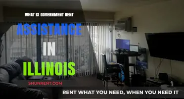 Understanding Government Rent Assistance in Illinois: A Comprehensive Guide