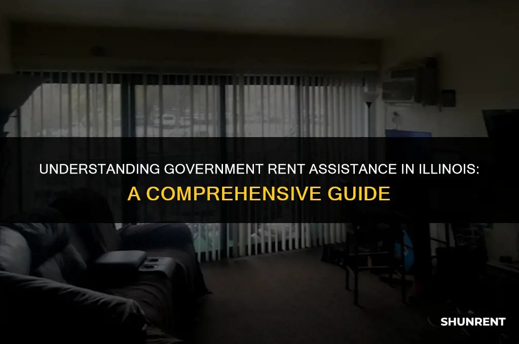 what is government rent assistance in illinois