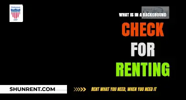 Renting Essentials: What’s Included in a Background Check for Tenants