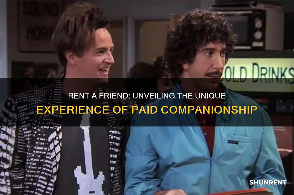 what is it like being a rent a friend