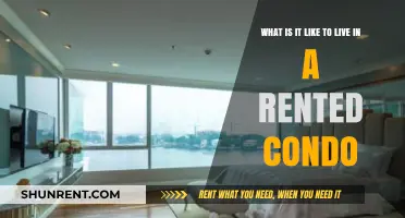 Living in a Rented Condo: Pros, Cons, and Real Experiences