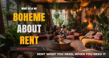 Exploring the Bohemian Lifestyle: A Guide to Renting in Artistic Havens
