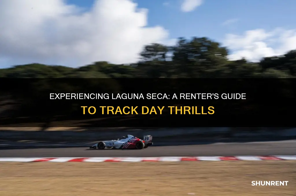 what is laguna seca like on a rented day