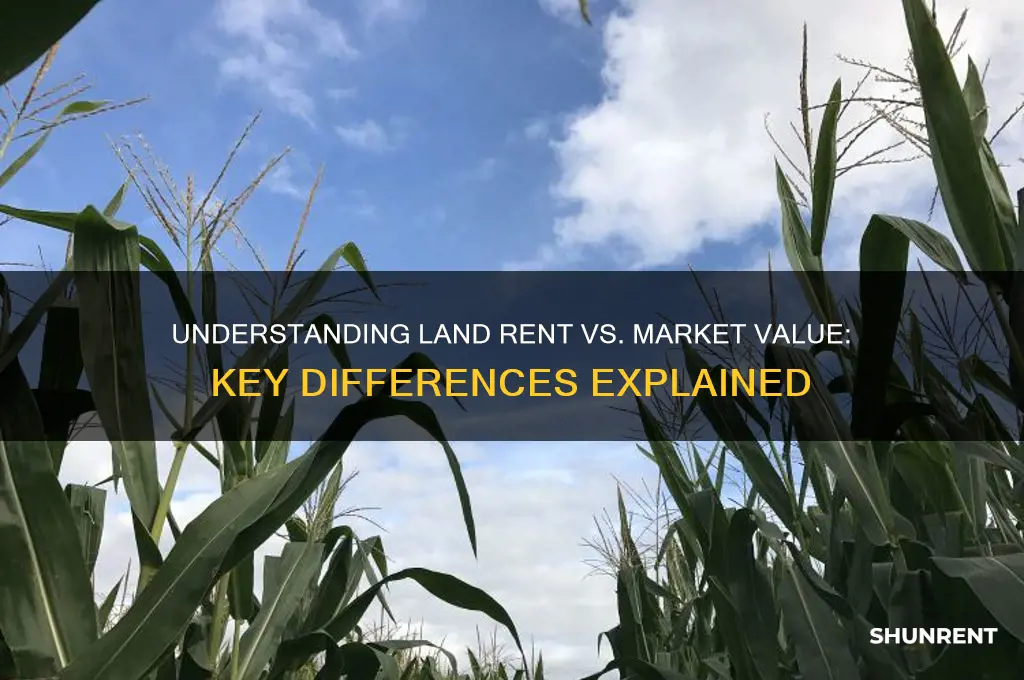 what is land rent and land market value