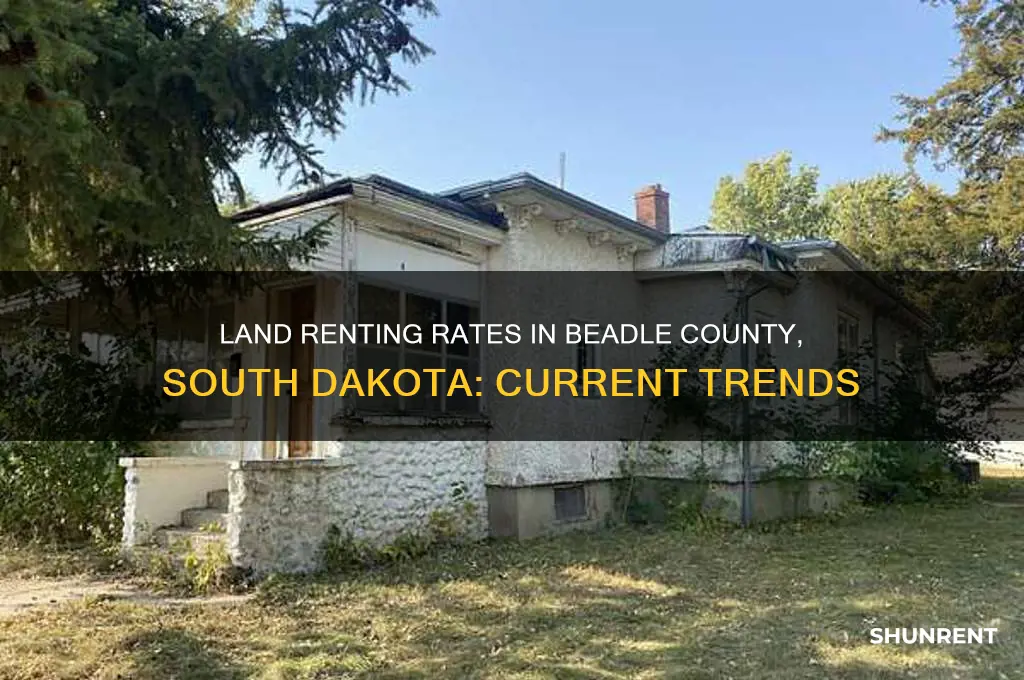 what is land renting for in beadle county south dakota