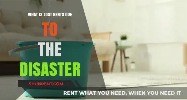 Understanding Lost Rents: Disaster Impact on Property Income Explained