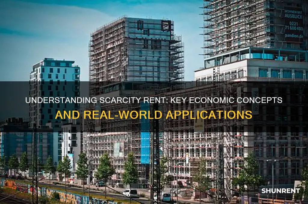 what is meant by scarcity rent in economics