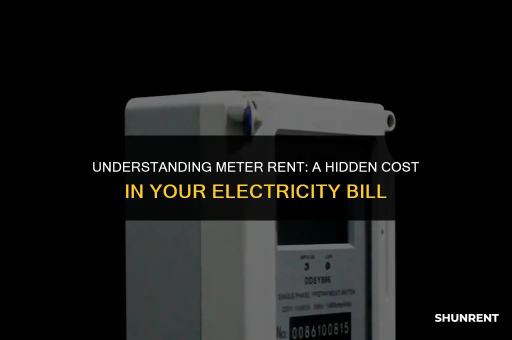 what is meter rent in electricity bill