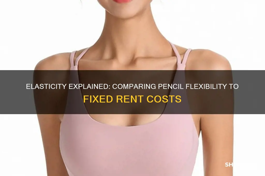 what is more elastic a pencil or your rent