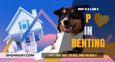 Understanding N/S and N/P Clauses in Rental Agreements: A Guide